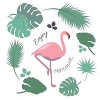 zomer cartoon afbeelding met een roze flamingo en een cirkel van bladeren vector