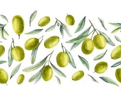 naadloze grens met olijven fruit en groene bladeren. aquarel hand getekend vector patroon voor oli labelontwerp. botanische achtergrond