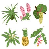 exotische zomer fruit en bloemen platte set, hala fruit pandan rijp schroef pine, heliconia lupine plumeria bloemen en bladeren, ananas, coccoloba uvifera seagrape fruitboom brunch vectorillustratie vector