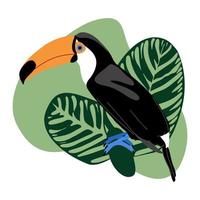 zomerkaart met toucan en calathea bladeren op abstracte plek achtergrond, tropische exotische vogel met grote snavel en groene jungle bladeren vectorillustratie vector