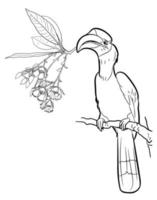 grote neushoornvogel vogel vasthouden fee petticoat bloem vector