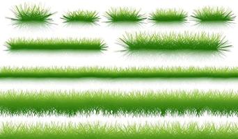 groen natuurlijk organisch gras dat op witte achtergrond en textuur wordt geïsoleerd vector