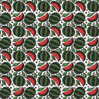 naadloos watermeloenpatroon. gekleurde doodle vectorillustratie met watermeloen. patroon met watermeloen vector