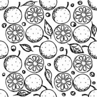 naadloze oranje patroon. zwart-wit oranje achtergrond. doodle vectorillustratie met fruit vector