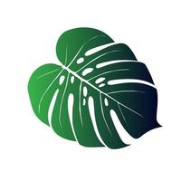 monstera deliciosa plant blad uit tropische bossen geïsoleerd. vector voor wenskaarten, flyers, uitnodigingen, webdesign