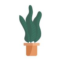 handgetekende langbladige plant in ingemaakte decoratieve planten voor thuis en op kantoor vector plat. planten illustratie geïsoleerd op een witte achtergrond.