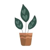 kamerplanten in de minimalistische vorm modern pot. handgetekende huisplanten in potten. planten illustratie geïsoleerd op een witte achtergrond. vector