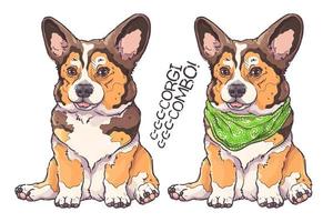 hand getekende corgi puppy portret vector