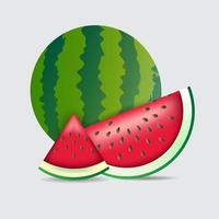 realistische watermeloen ontwerp pictogram vector. vers watermeloen fruit ontwerp achtergrond vector