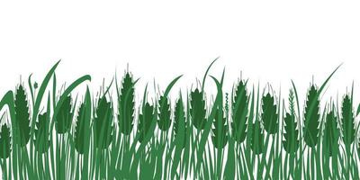 tarwe- en grasveld. horizontale herhaal eindeloze rand. spikelet silhouetten op witte achtergrond. vector geïsoleerde illustratie voor boerderij, bakkerij