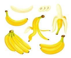 gele bananen geïsoleerd op een witte achtergrond vector