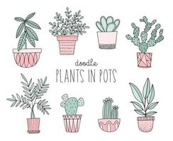 handgetekende potplanten. vetplanten en andere planten in potten in doodle-stijl. vector