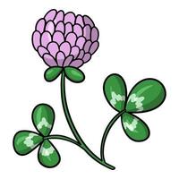 roze klaverbloem met bladeren, bloem voor het verzamelen van honing, vectorillustratie in beeldverhaalstijl op een witte achtergrond vector