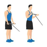 man doet staande biceps kabelkrullen oefening. platte vectorillustratie geïsoleerd op een andere laag. training karakter