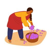 Indiase vrouw die saffraan verzamelt. kruiden oogsten. traditionele landbouw. platte hand getekende vectorillustratie. geïsoleerd op wit. vector