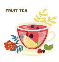 fruit thee glazen beker met sinaasappel, framboos, bosbes, braambes, muntblaadjes vectorillustratie. versierd met ashberry. geïsoleerd op wit. vector