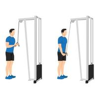 man doet kabel triceps pull-down oefening. platte vectorillustratie geïsoleerd op een witte achtergrond vector