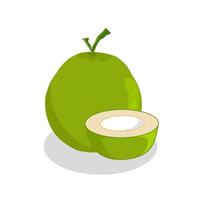 illustratie van kokosfruit. kokosnoot fruit icoon. fruit vector