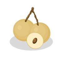 illustratie van longan fruit.longan fruit icon.fruits vector