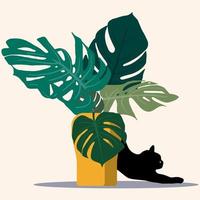 bladeren van monstera in de vaas met een kat. tropische reeks. exotische compositie. vector