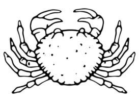 krab lijn pictogram, zeevruchten vectorillustratie. vector