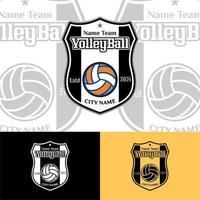 logo-badge van het volleybalteam, Amerikaans sportlogo vector