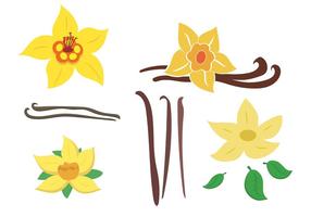 Vector Vanilla Flower Pack