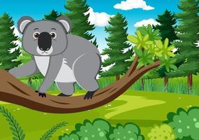 koala's op de bosachtergrond vector