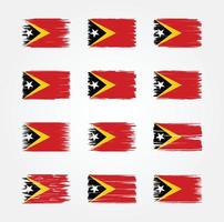 Oost-Timor vlagborstelcollecties. nationale vlag vector