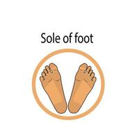 voetzool pictogram illustratie vector