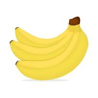 rijp fruit. tros bananen vectorillustratie vector