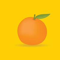 oranje fruit vectorillustratie vector