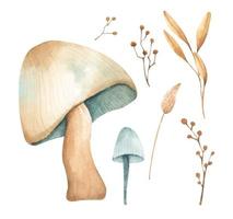 aquarel herfst elementen collectie. vector