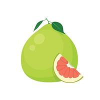 platte vector van pomelo geïsoleerd op een witte achtergrond. platte illustratie grafisch pictogram