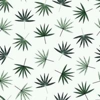 fan palmtak met groene bladeren naadloze vector patroon. handgetekende tropische plant met geaderde bladeren, op een stengel. platte cartoon afbeelding geïsoleerd op wit. exotische boomtakje, botanische achtergrond