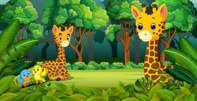 twee giraffen in het bos vector