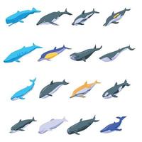 walvis iconen set, isometrische stijl vector