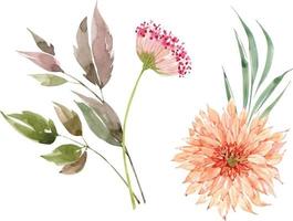 set aquarelillustraties van roze bloemen en planten. vector