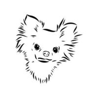 chihuahua vector schets