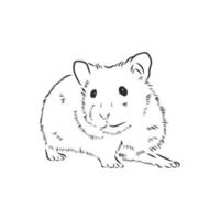 hamster vector schets