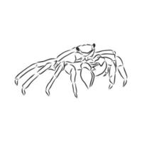 krab vector schets