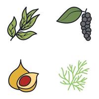 specerijen, specerijen en kruiden elementen set pictogram symbool sjabloon voor grafische en webdesign collectie logo vectorillustratie vector