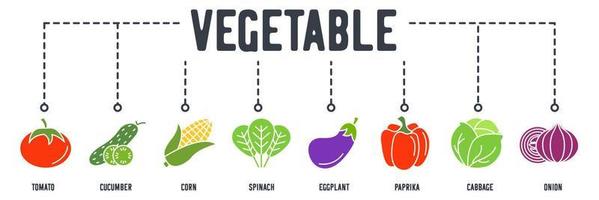 vegetarische groente banner web pictogram. tomaat, komkommer, maïs, spinazie, aubergine, paprika, kool, ui vector illustratie concept.