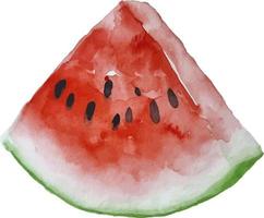 aquarel watermeloen hand getekend vectorelement op de transparante achtergrond vector