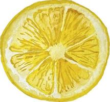 aquarel hand getekend vector citroen schijfje clipart op de transparante achtergrond