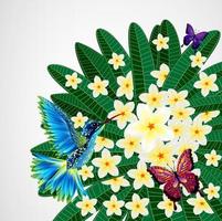 bloemdessin achtergrond. plumeria bloemen met vogels, vlinders. vector