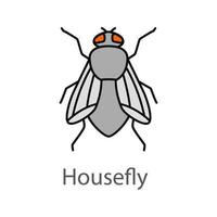 huisvlieg kleur icoon. musca domestica. vliegen insect. geïsoleerde vectorillustratie vector