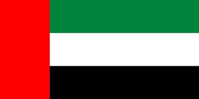 vlakke afbeelding van de vlag van de verenigde arabische emiraten vector