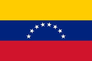 vlakke afbeelding van de vlag van venezuela vector