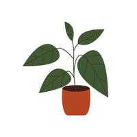 kamerplant groeit in pot. groene blad kamerplant in vloerplanter. interieurdecoratie voor thuis en op kantoor. gebladerte binnendecor in bloempot. vlakke afbeelding geïsoleerd op een witte achtergrond vector